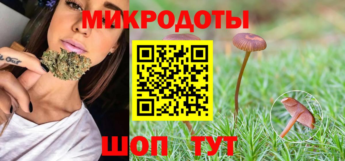 Псилоцибиновые грибы прущие грибы Крымск
